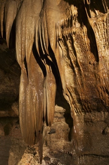 Photograph of Granddad Formation Niagara Cave