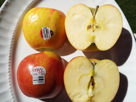 Honeycrisp apple cross section