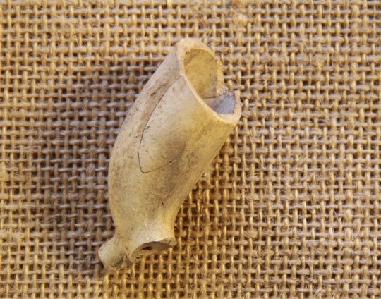 Color image of a relatively complete, un-smoked kaolin pipe found during excavations at the Réaume site, 2012.