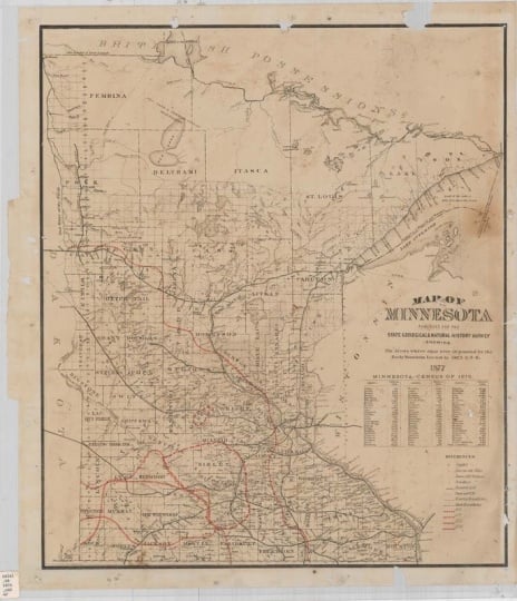 Locust Egg Map of Minnesota, 1877