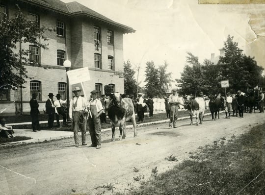 Crops and soils parade on NWSA campus