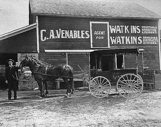 William McAdam, salesman for Watkins' Remedies of Winona