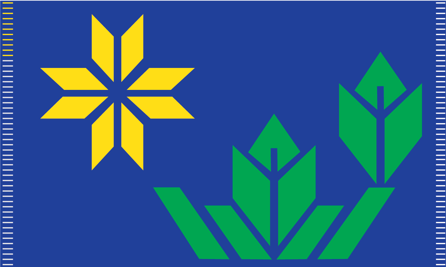 7a42b6ff-6987-4bc1-a800-b688cb74bc37-state_emblem_file_upload-MN-State-Flag-Submission-03