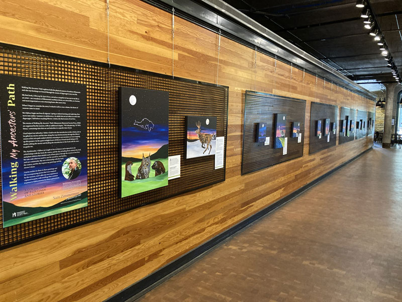 An indoor gallery displaying the 'Walking My Ancestors' Path' exhibit. A long wood-paneled wall features a large introductory text panel on the left, followed by a series of colorful animal and landscape paintings mounted on dark, textured backing boards down the hallway. An indoor gallery displaying the 'Walking My Ancestors' Path' exhibit. A long wood-paneled wall features a large introductory text panel on the left, followed by a series of colorful animal and landscape paintings mounted on dark, textured backing boards down the hallway.