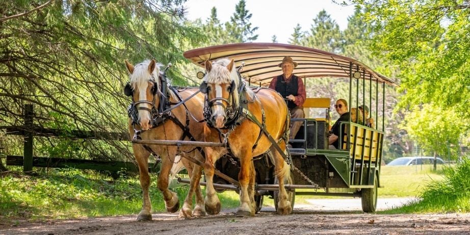 Event Featured Image