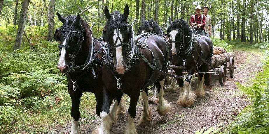 Event Featured Image