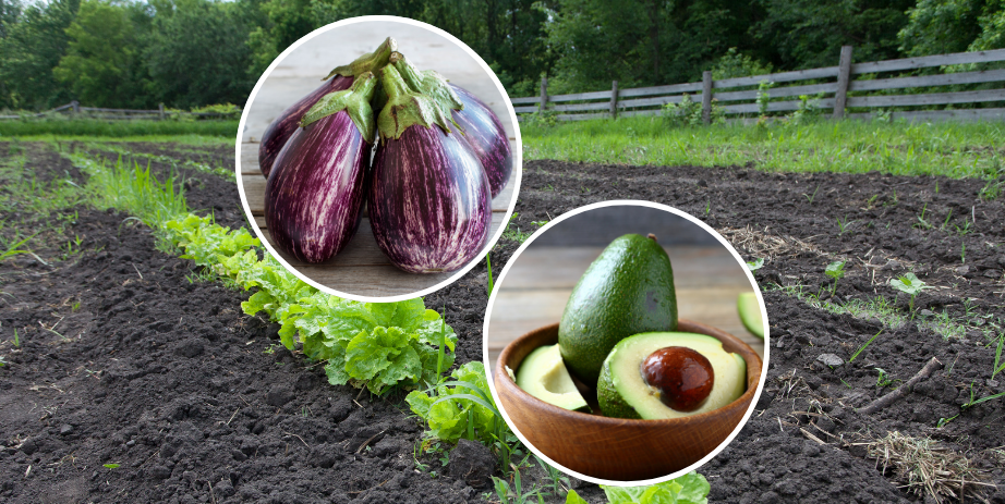 Event Featured Image