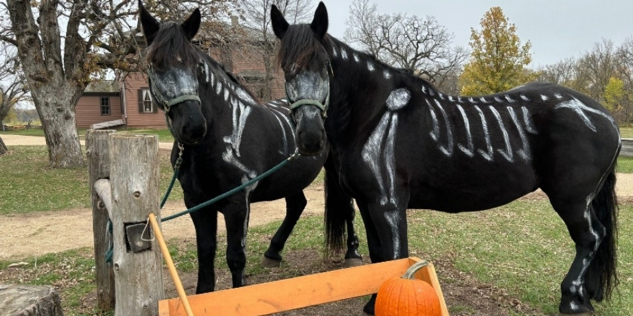 Event Featured Image