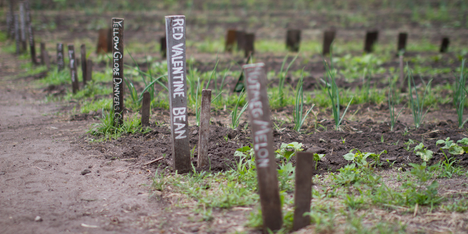 Event Featured Image