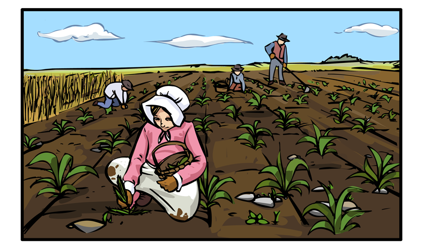 The view continues into the garden, where Mamie is pulling weeds.