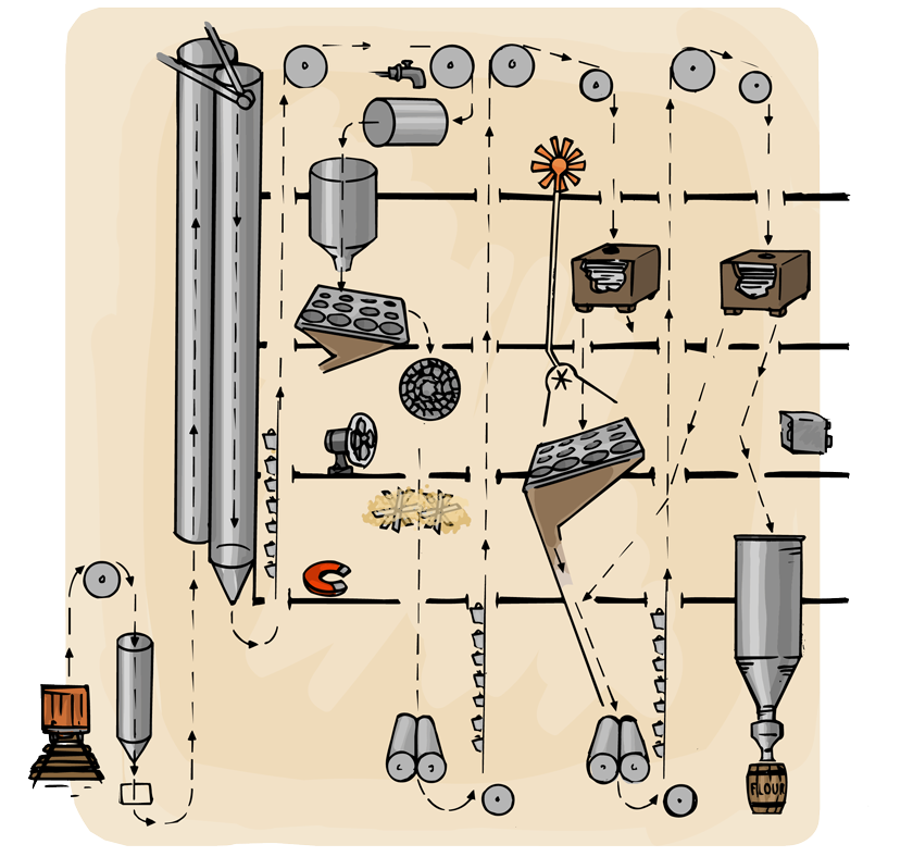 A cutaway section of a mill showing how the wheat goes up and down through the building as it is sorted, cleaned, and ground into flour.