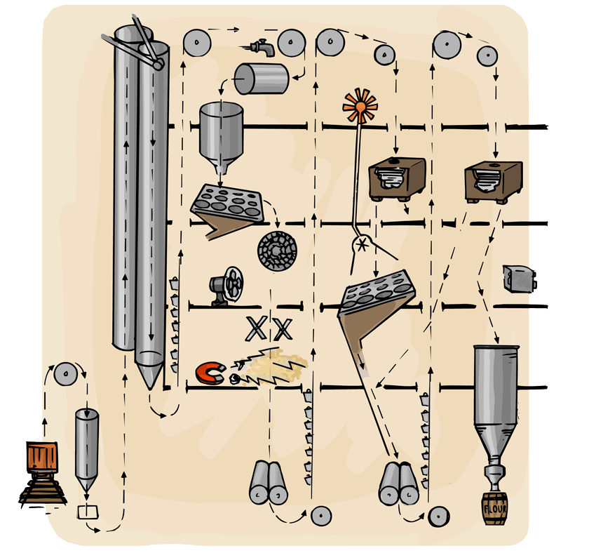 A cutaway section of a mill showing how the wheat goes up and down through the building as it is sorted, cleaned, and ground into flour.