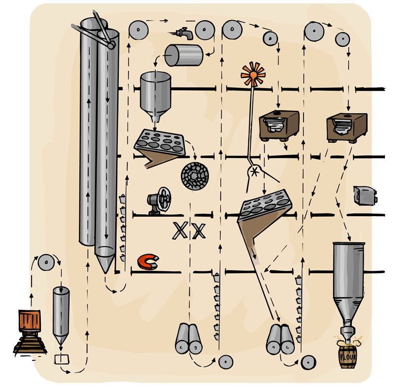 A cutaway section of a mill showing how the wheat goes up and down through the building as it is sorted, cleaned, and ground into flour.