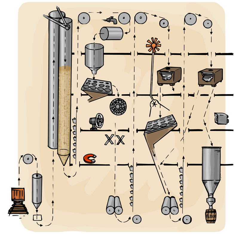 A cutaway section of a mill showing how the wheat goes up and down through the building as it is sorted, cleaned, and ground into flour.