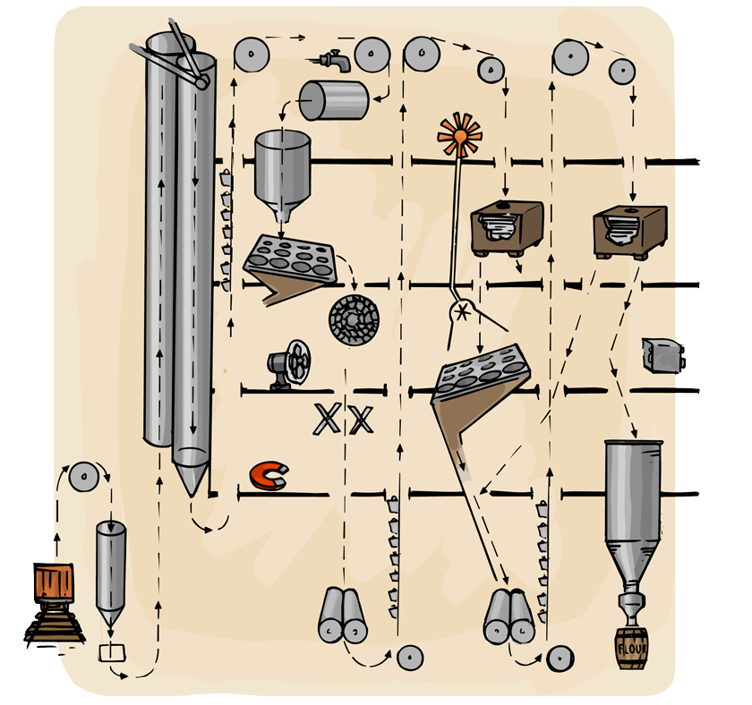 A cutaway section of a mill showing how the wheat goes up and down through the building as it is sorted, cleaned, and ground into flour.