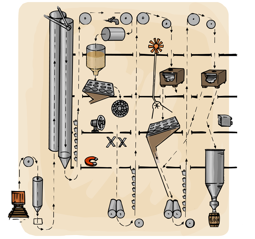 A cutaway section of a mill showing how the wheat goes up and down through the building as it is sorted, cleaned, and ground into flour.