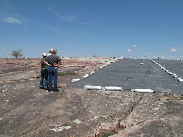 lichen-removal lichen-removal