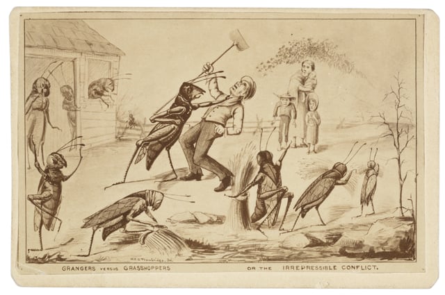 Grangers versus grasshoppers