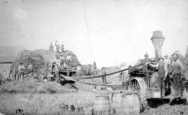 threshing