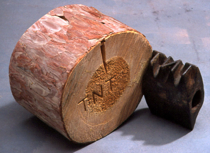tnt-log-stamp (1)