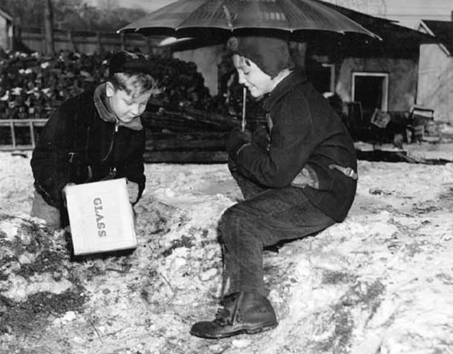 Boys with box and umbrella waiting for groundhog on Ground Hog's Day, St. Paul.