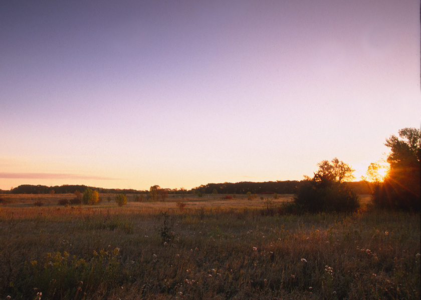 Panorama shot of prairie during sunset.