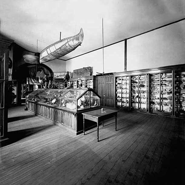 room with esoteric items in it