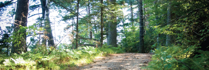 Trails.