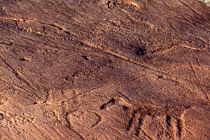Glyph of a four leg animal on red rock.