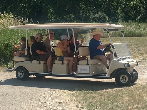 A volunteer moving people in a golf cart at Historic Fort Snelling.
