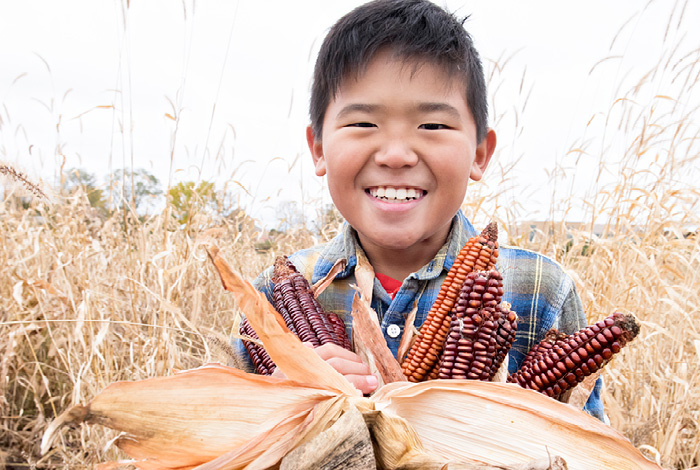 A smiling boy holding some corn in a field.