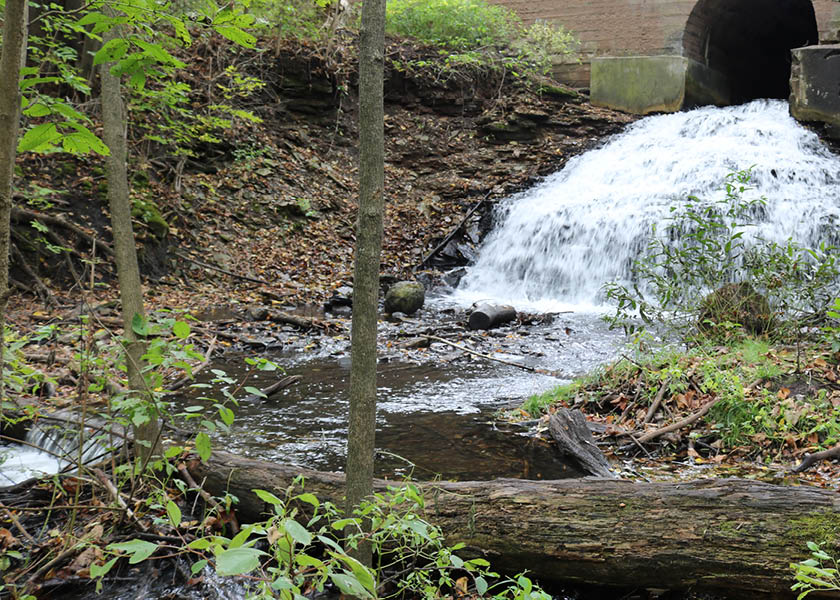 Water rushing out of a tunnel set on a hill at Marine Mill Park.