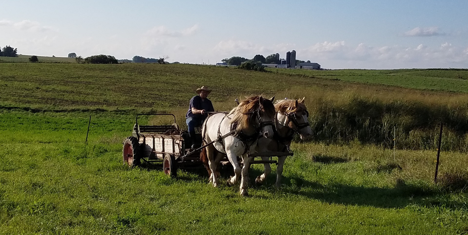 Draft Horse Harnessing Demonstration and Wagon Ride