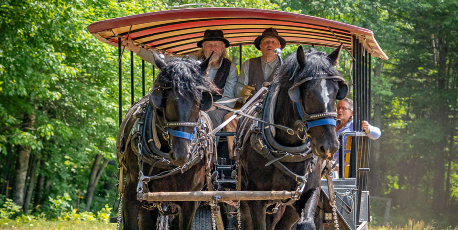 Fall Horse Drawn Trolley Program Forest History Center