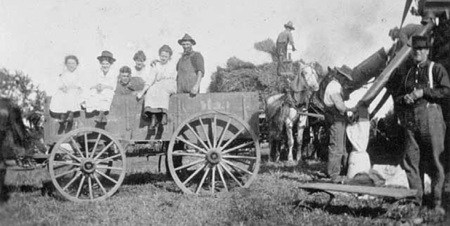 Harvest Family Day