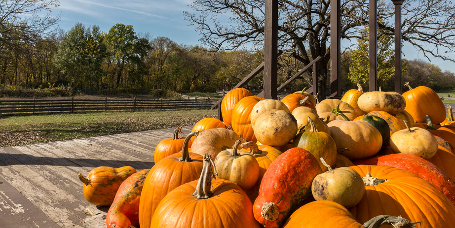 Halloween on the Farm