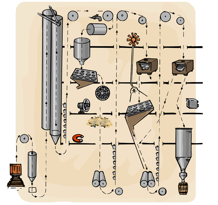 A cutaway section of a mill showing how the wheat goes up and down through the building as it is sorted, cleaned, and ground into flour.