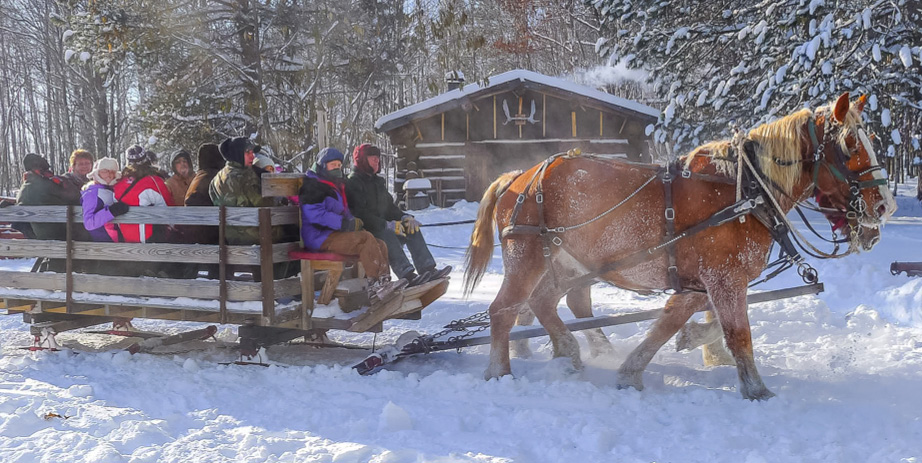 Christmas in the Logging Camp Forest History Center