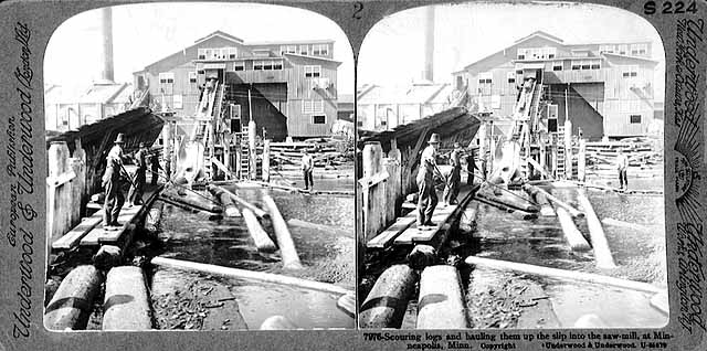 Photo of crew guiding logs from the Mississippi River up a slip and into a sawmill, 1920.