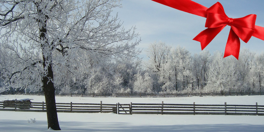 Christmas on the Farm