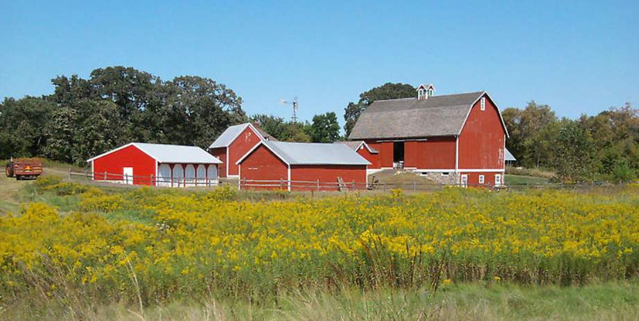 Springtime Farm Mill City Museum