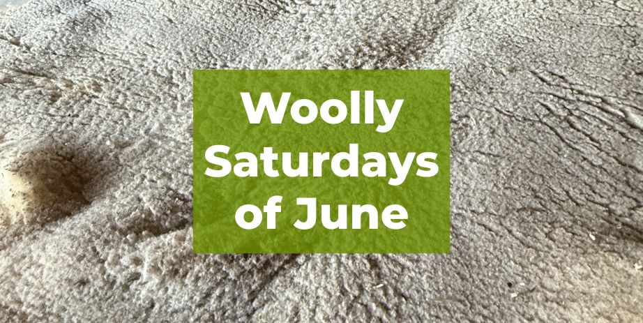 Woolly Saturdays of June Historic Forestville