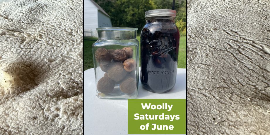 Woolly Saturdays of June Dyeing with Nature Historic Forestville