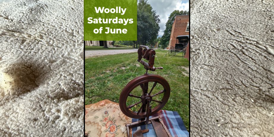 Woolly Saturdays of June Fiber to Yarn Historic Forestville