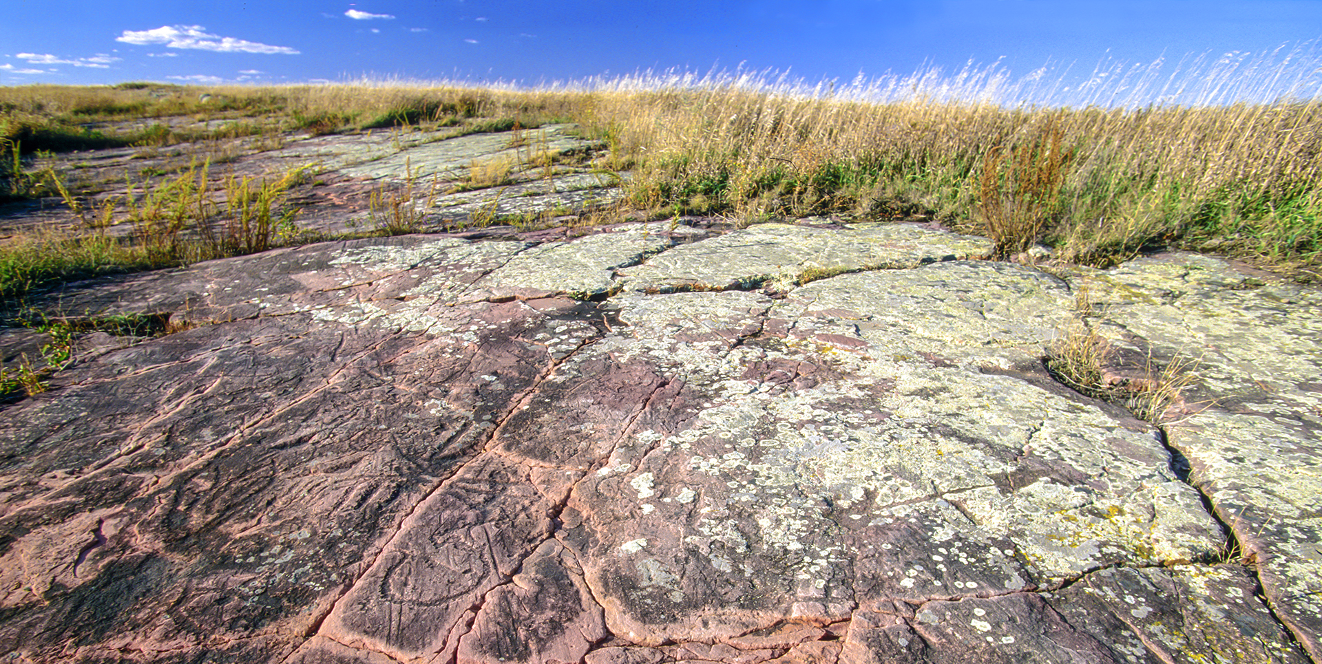 Jeffers Petroglyphs