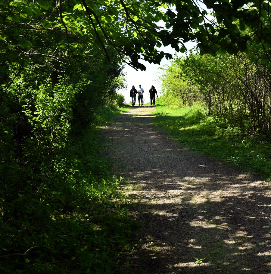 Nature walk