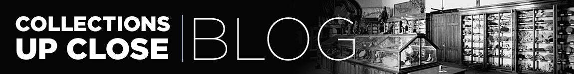 collections up close Blog