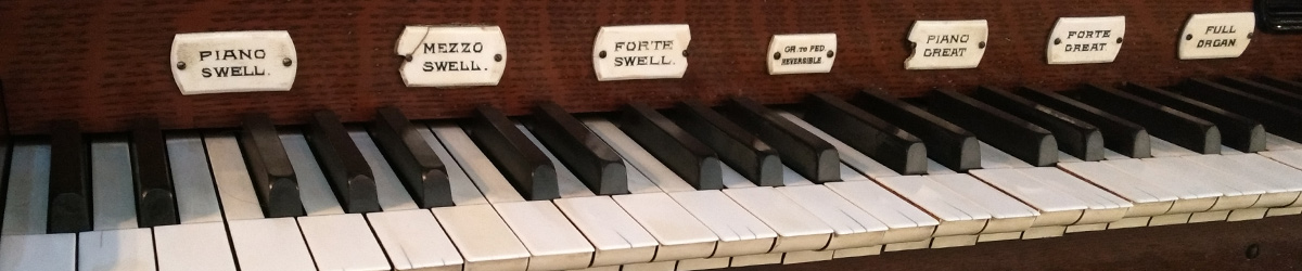 Closeup of one row of the organ's keys