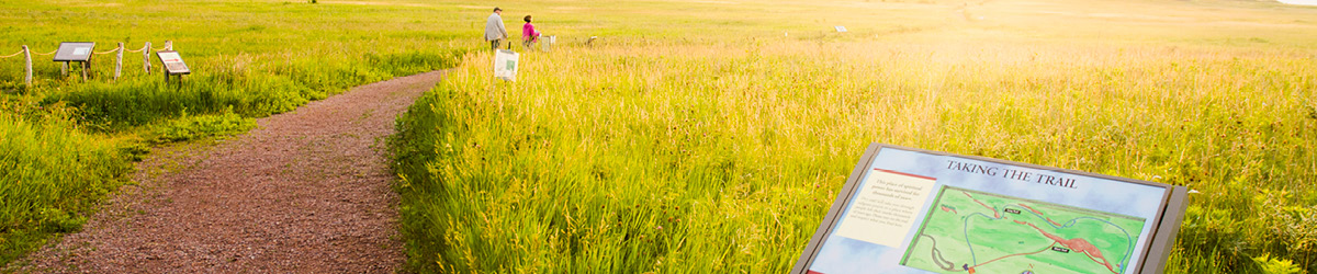 A trail leads to a golden prairie.