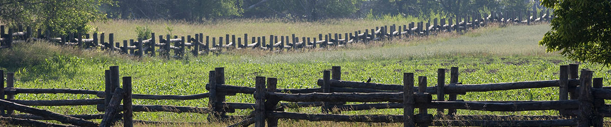 A wooden fence surrounding a field next to an oak grove
